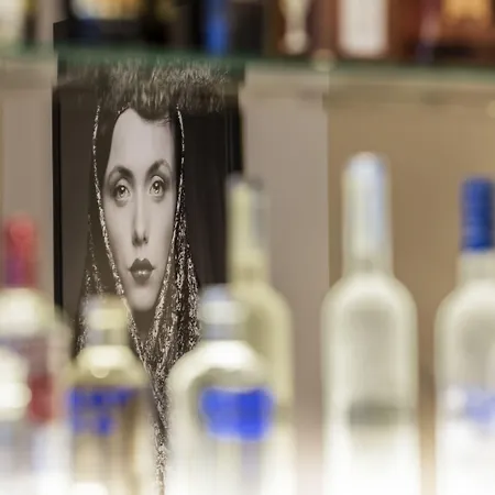 Mayflower Opera ホテル 4*