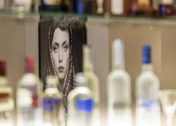 Mayflower Opera 酒店 4*